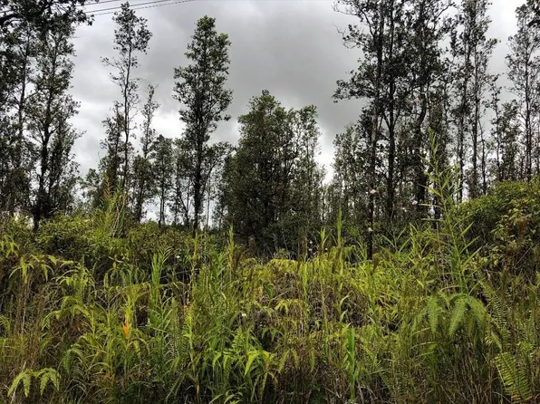 Hopue Road Rd #3-lot 3142, Mountain View, HI 96771
