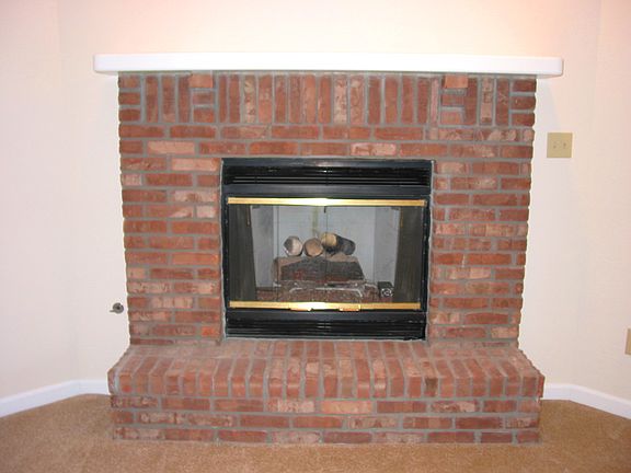 Close-Up of FP, Gas Log