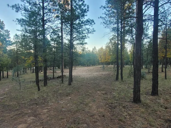 2857 SPARROW Drive #22, Happy Jack, AZ 86024