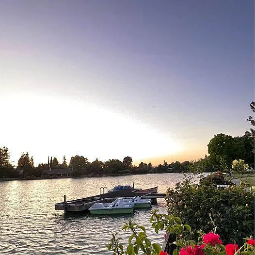 Paddle boats, kayaks, and canoes
