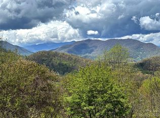 507 Matthew Ln, Canton, NC 28716