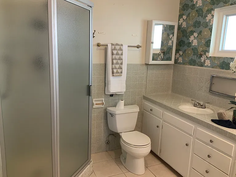 Primary Bathroom #2
