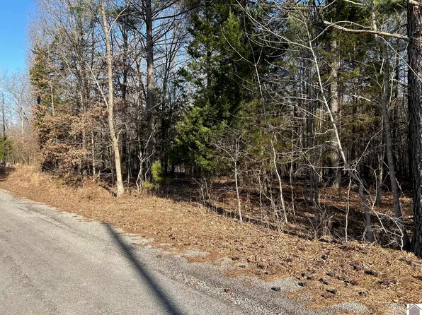 0 Oakview Ln, Murray, KY 42071