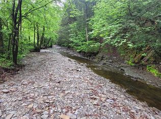 0 Hulbert Hollow Rd #32, Spencer, NY 14883