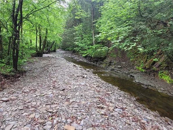 0 Hulbert Hollow Rd #32, Spencer, NY 14883