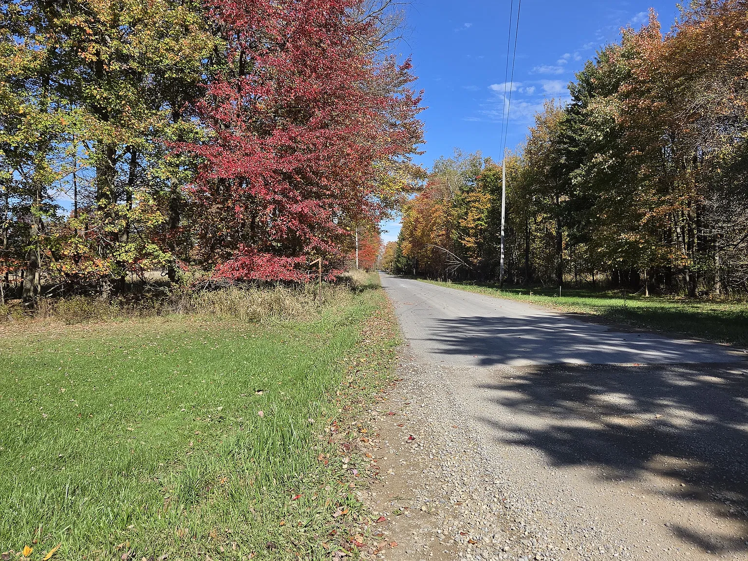 2 bed, $850 — Photo 2