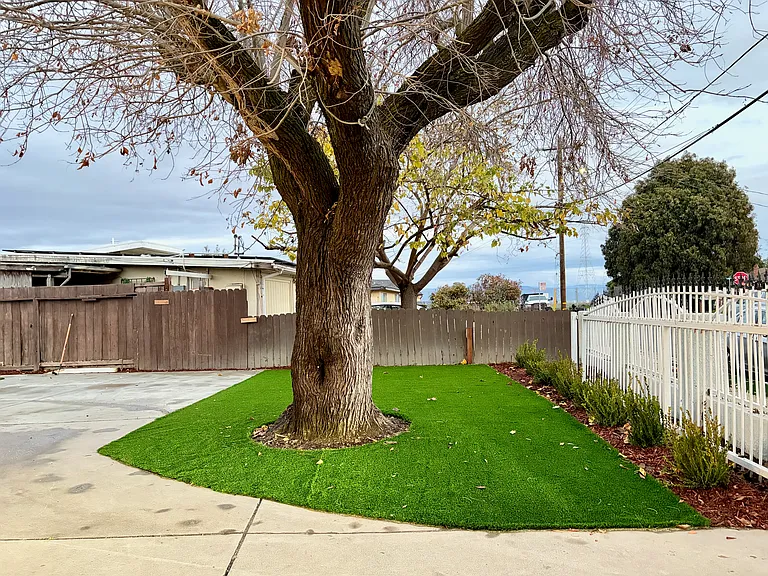 Dedicated outdoor yard space with low-maintenance turf