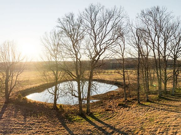 54th image of this home