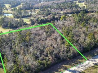 63 Hallbrook Way, Spring, TX 77389