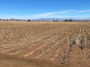 LOT 2 Niagara Rd, Montrose, CO 81403