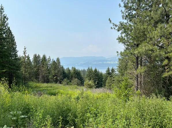 1645 Rickey Canyon Rd, Kettle Falls, WA 99141
