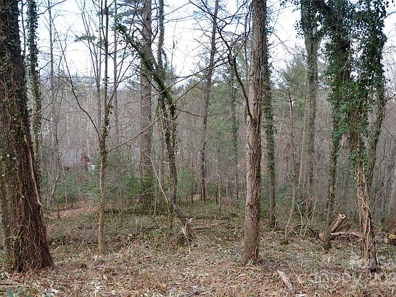 4th image of 99999 Horizon Hill Rd