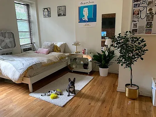 Rented by Oxford Property Group | media 45