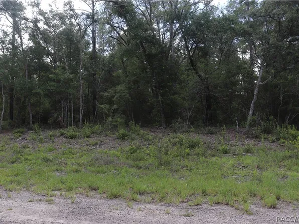 653 E Vercelli Ln, Citrus Springs, FL 34434