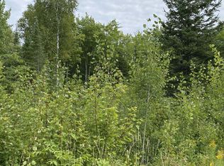 On Mink Dr, Phillips, WI 54555