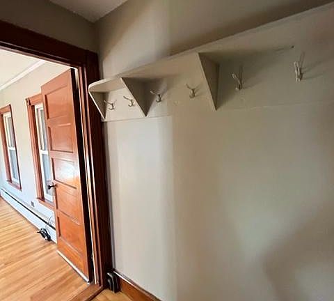 Entry coat hooks
