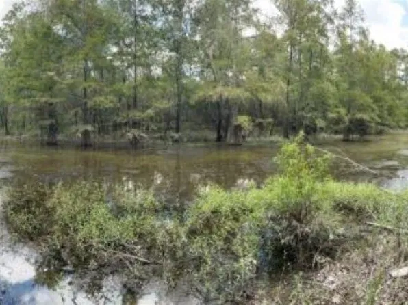 11818 Willard's Camp Rd, Mittie, LA 70654