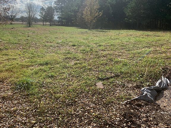 Ext. Looking back to the property line
