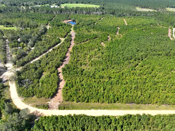 0 Findley Cemetery Rd, Lyons, GA 30436