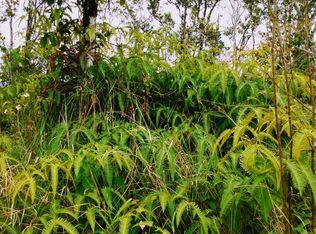 Malia Aina Rd LOT 10, Volcano, HI 96785