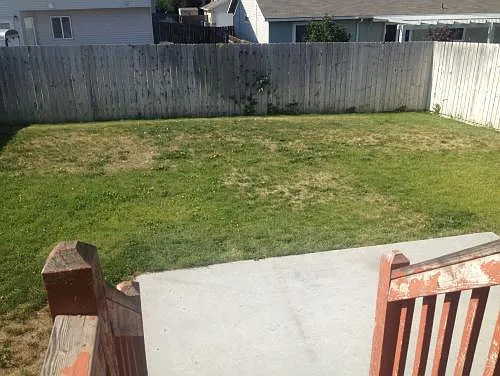 1187 Rockridge St — Photo 11