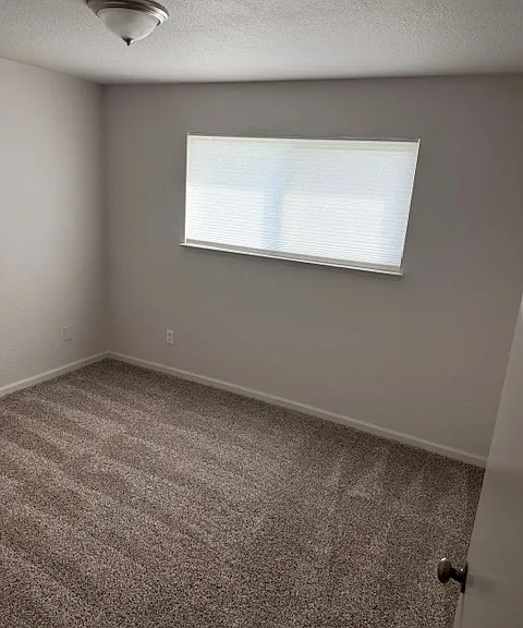 5398 Sawtelle Ave — Photo 11
