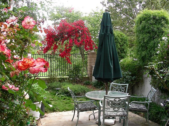 Garden Paradise