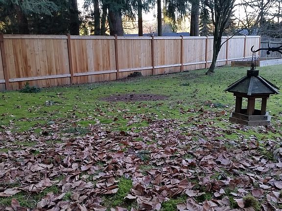 Large level backyard