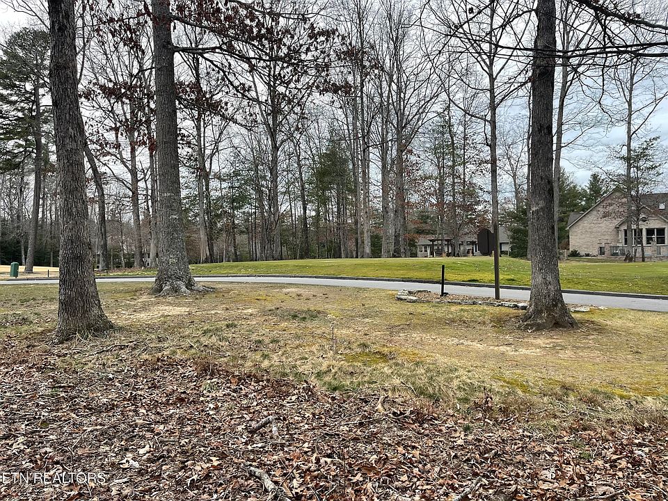 2nd image of Forest View Dr
