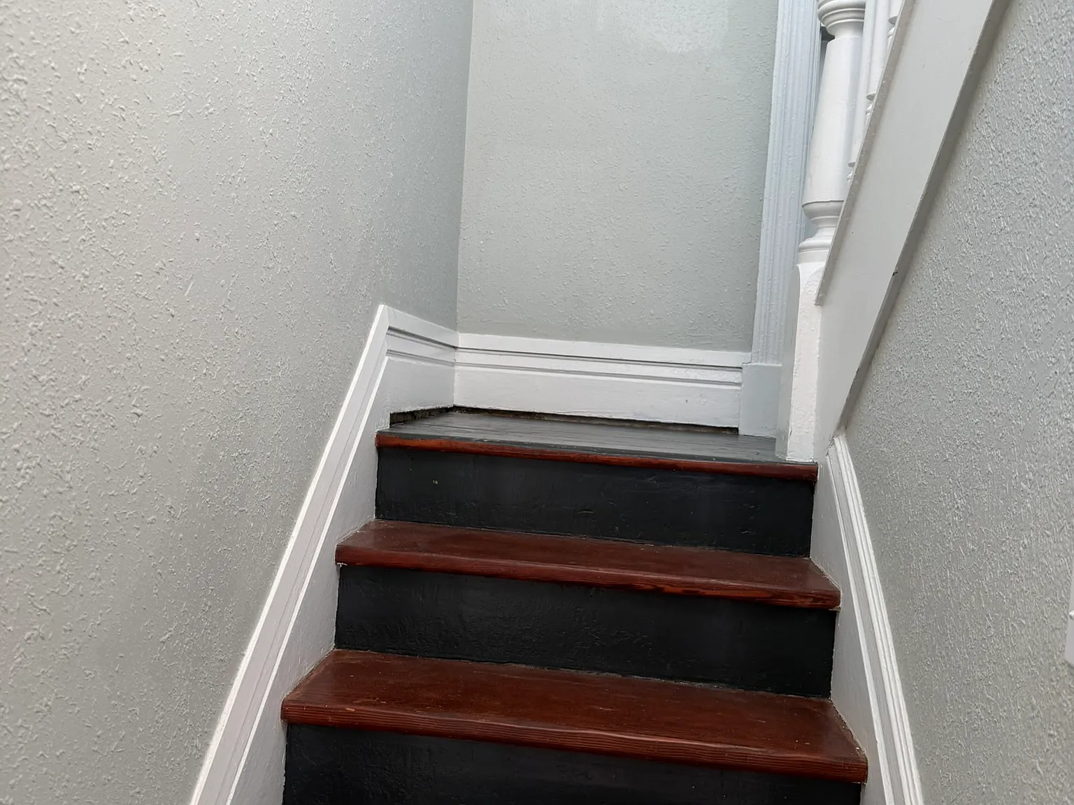 3 bed, 1.5 bath, 1133 sqft, $2,500 — Photo 3