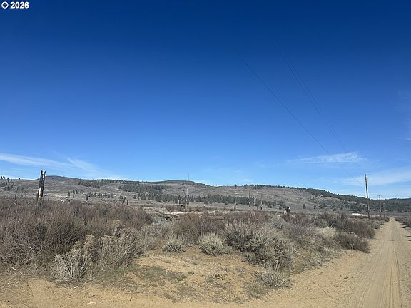 4th image of Ruffed Grouse 7 Sprague Riv