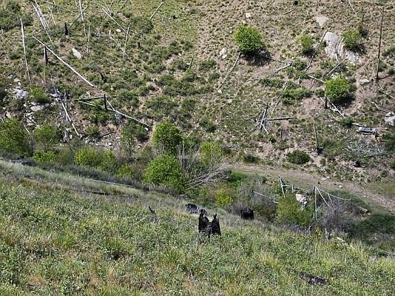 15th image of Nhn Blind Creek Draw Rd