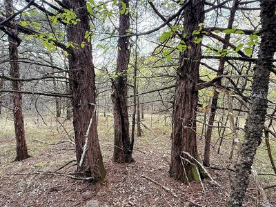 30000 Hummingbird Ln, Cookson, OK, 74427