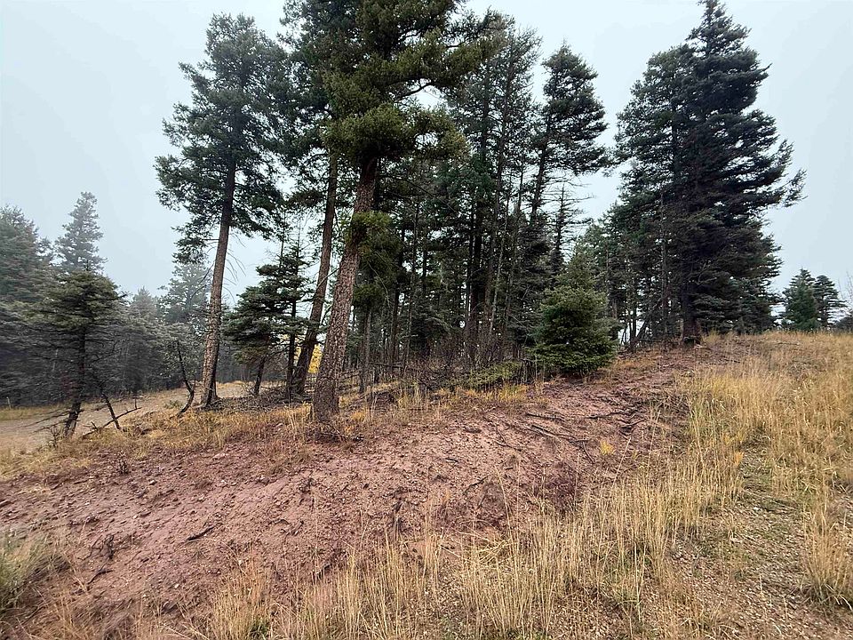 2nd image of Lot 223 Steamboat Ln