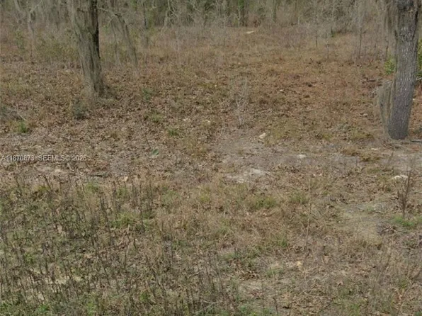 Undetermined Southwest Ave #130, Dunnellon, FL 34432