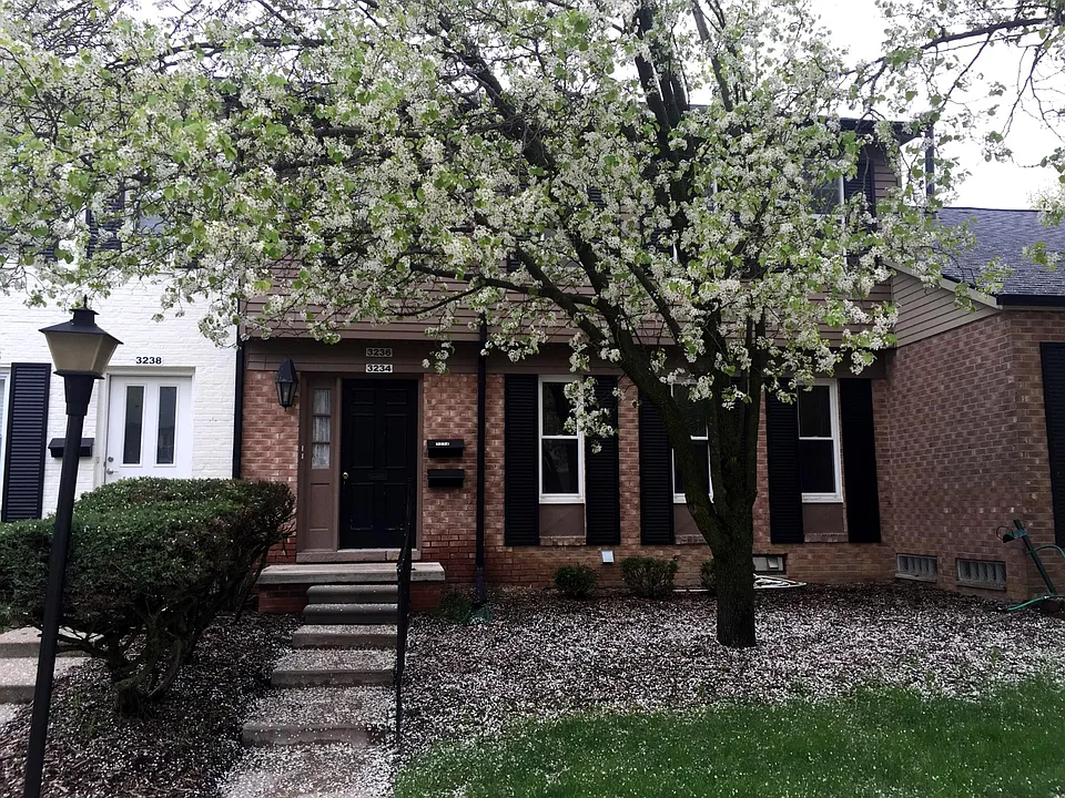 3234 Bolgos Cir