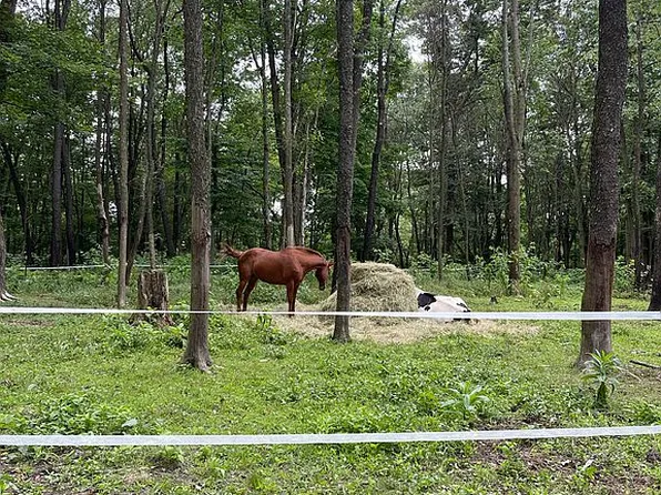 90 Rutter Dr, Coalport, PA 16627