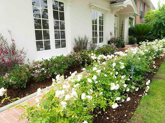 Front Walkway