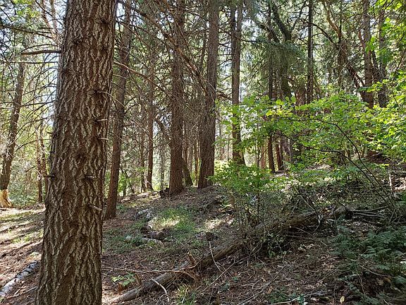 5th image of 5584 Old Highway 99 S