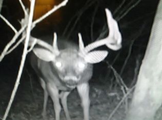 S121 State Road 33, Wonewoc, WI 53968