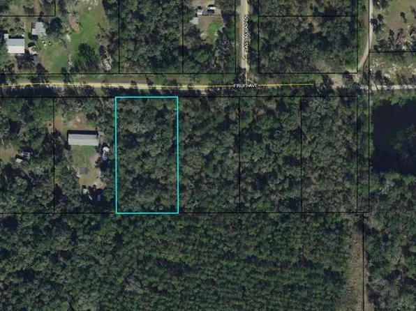 6579 Fruit Ave, Bunnell, FL 32110