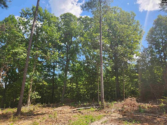 4th image of TRACT 1 Hoke Rd