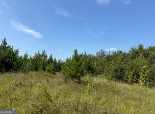 5 Long Branch Rd, Toomsboro, GA 31090