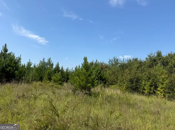 5 Long Branch Rd, Toomsboro, GA 31090
