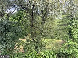 7315 Castleberg Ct — Photo 35