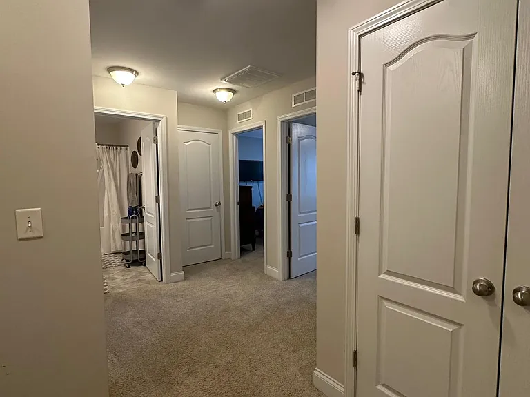 124 Spring Pine Ln — Photo 19