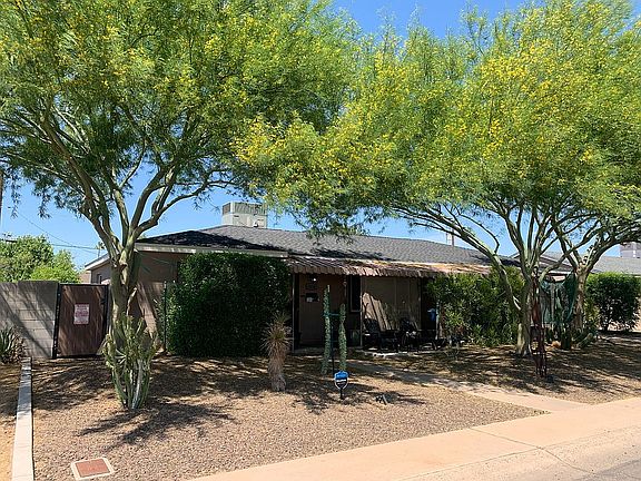 2019 Joshua Tree