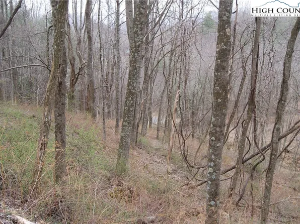 Lot 56 Toms Knob Road, Sparta, NC 28675