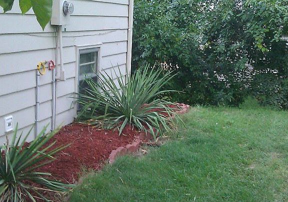 Back of the house landscape
