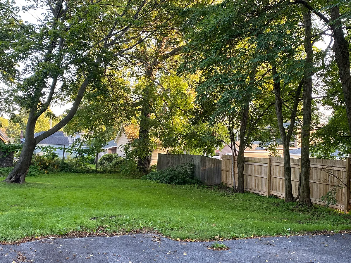 Back Yard - 144 W Seneca St